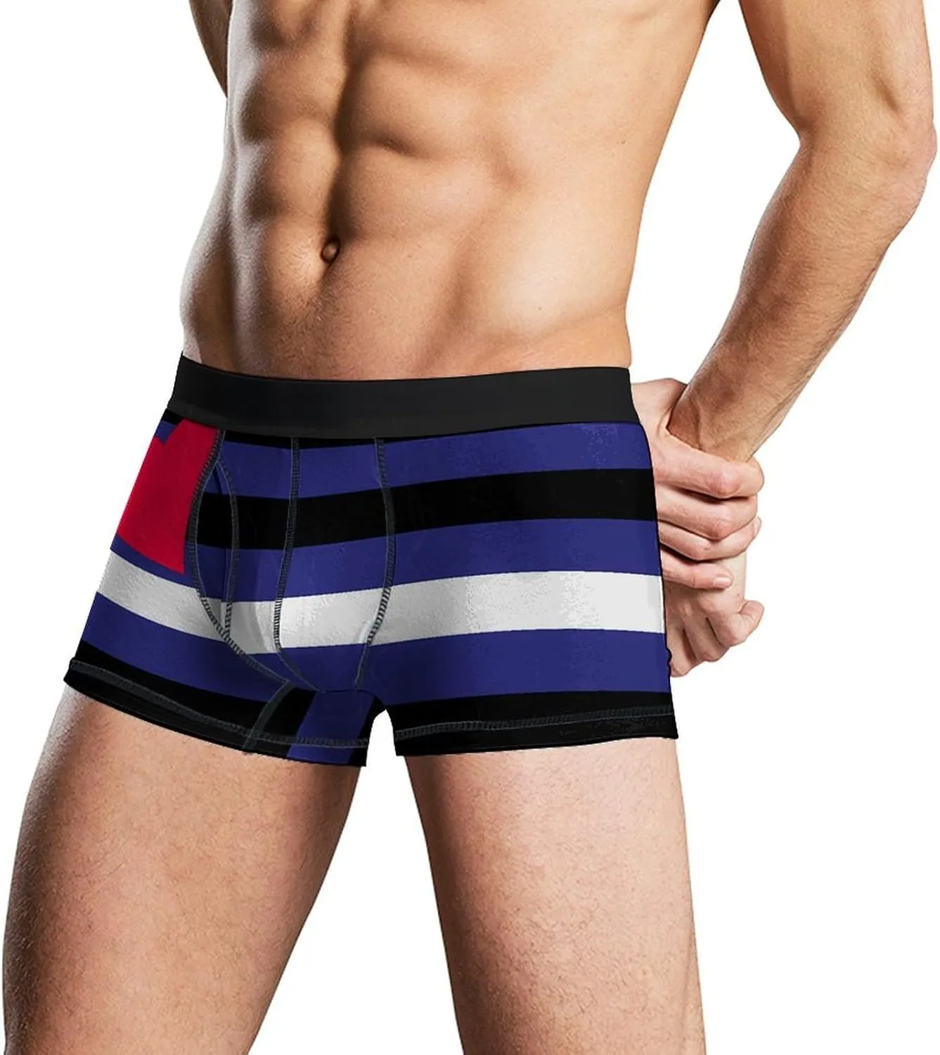 Leather BDSM Proud Flag Mens Boxer Brief Funny Underwear Trunks Breathable Soft Printed Shorts